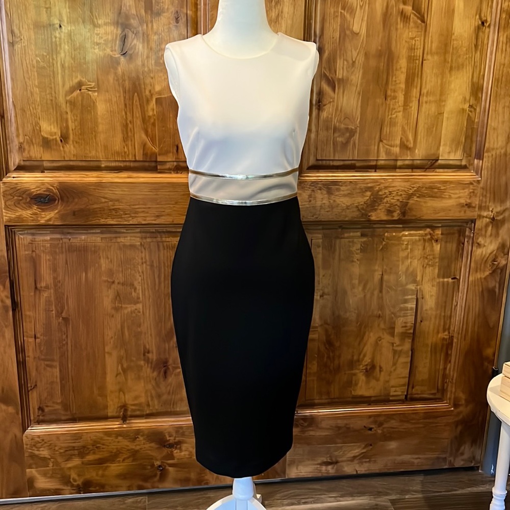 Calvin Klein Cocktail Dress